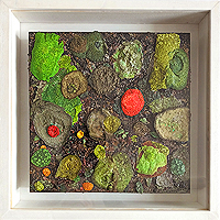 Paul Ramsay: 'Autumn Ground (October) (2023)'